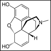 metabolism-and-transport