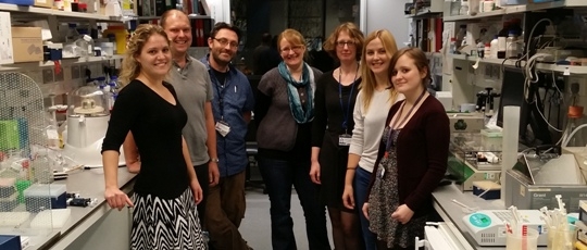 Members of the laboratories of Dr. Crabtree and Dr. Channon at Wellcome Trust Centre for Human Genetics, Oxford University