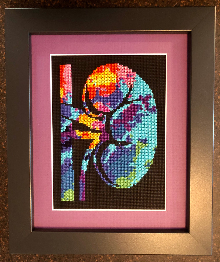 Kidney Cross Stitch by Dr. Lauren Aleksunes for Dr. Mary Bridgeman